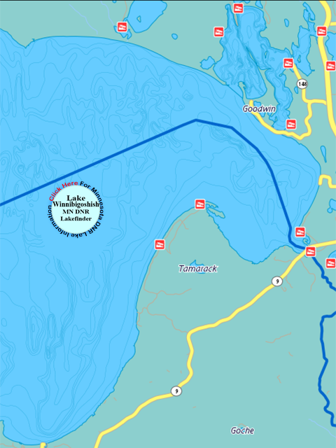 Link to Lake Winnibigoshish Information DNR Lakefinder